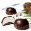 Cocobount